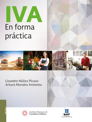 cover image of IVA En forma práctica